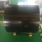 Rubber Coated Stainless Cold Rolled Steel Sheet Stainless Steel Sheet Plate Aisi 301 Price