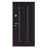 Luxury Villa Outdoor Powder Coated Steel Main Gate Wood Veneer Painting Armored Door For Sale