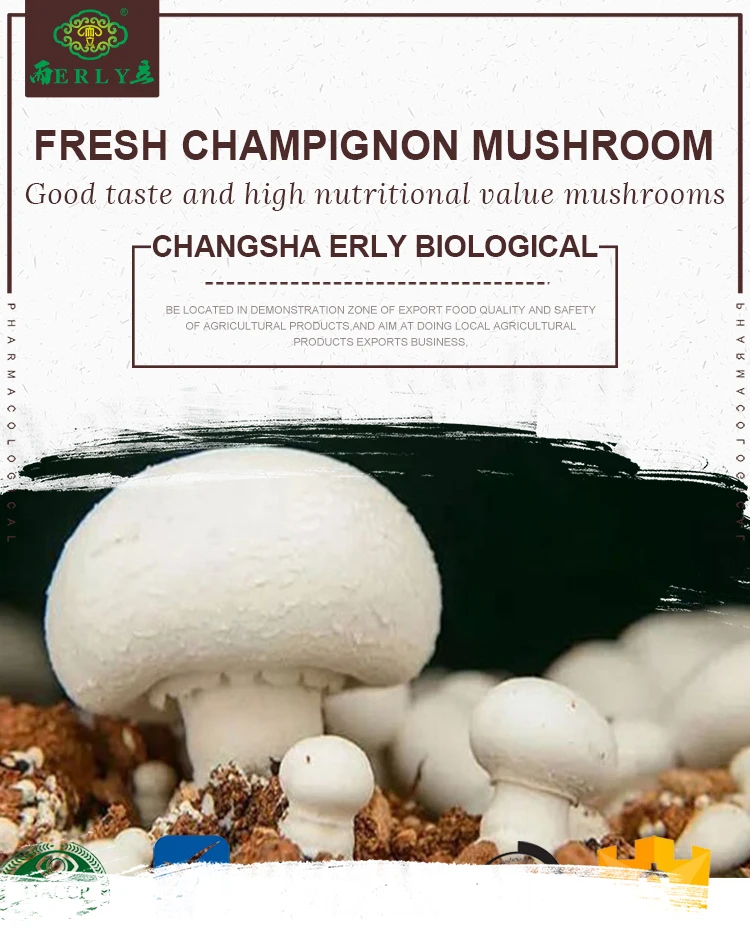 product name: gmp supply 100% natural dehydrated button mushroom