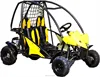 /product-detail/kids-buggy-110cc-automatic-manual-go-karts-cheap-for-kids-drive-tkg110-k2--60437299334.html