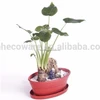 The unique style smaller flower pot