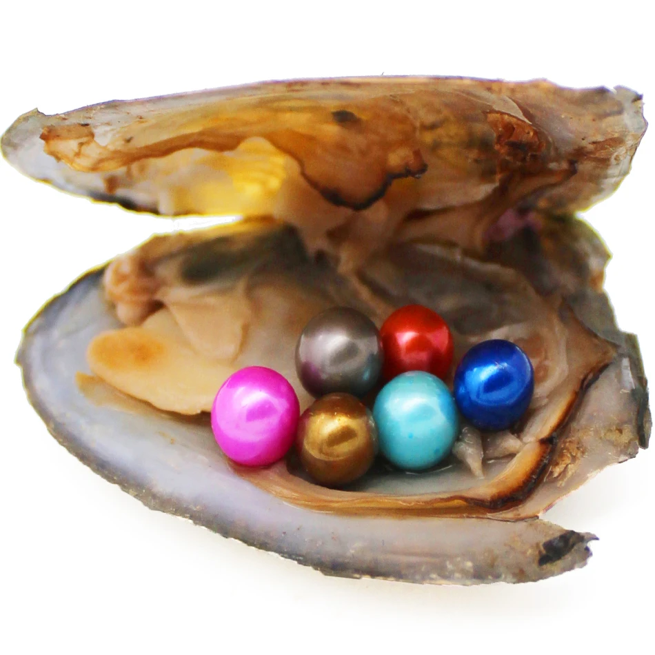 

Wholesale natural freshwater pearl oysters round 6-7mm AAAAA grade pearl oysters(29 kinds of pearl color available)