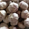 /product-detail/garlic-keeper-import-chinese-red-purple-garlic-price-in-china-60713886190.html