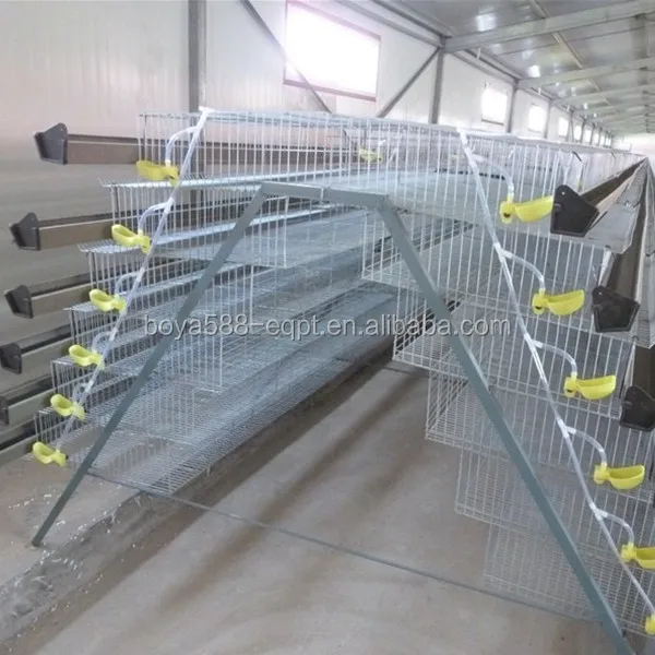Automatic Quail Bird Layer Cage System Buy Quail Bird Cage,Coturnix