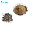China Manufacturer Free Sample Instant Black Tea Extract Powder