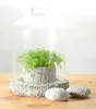hand painting indoor decorative planter cement pot with glass cover