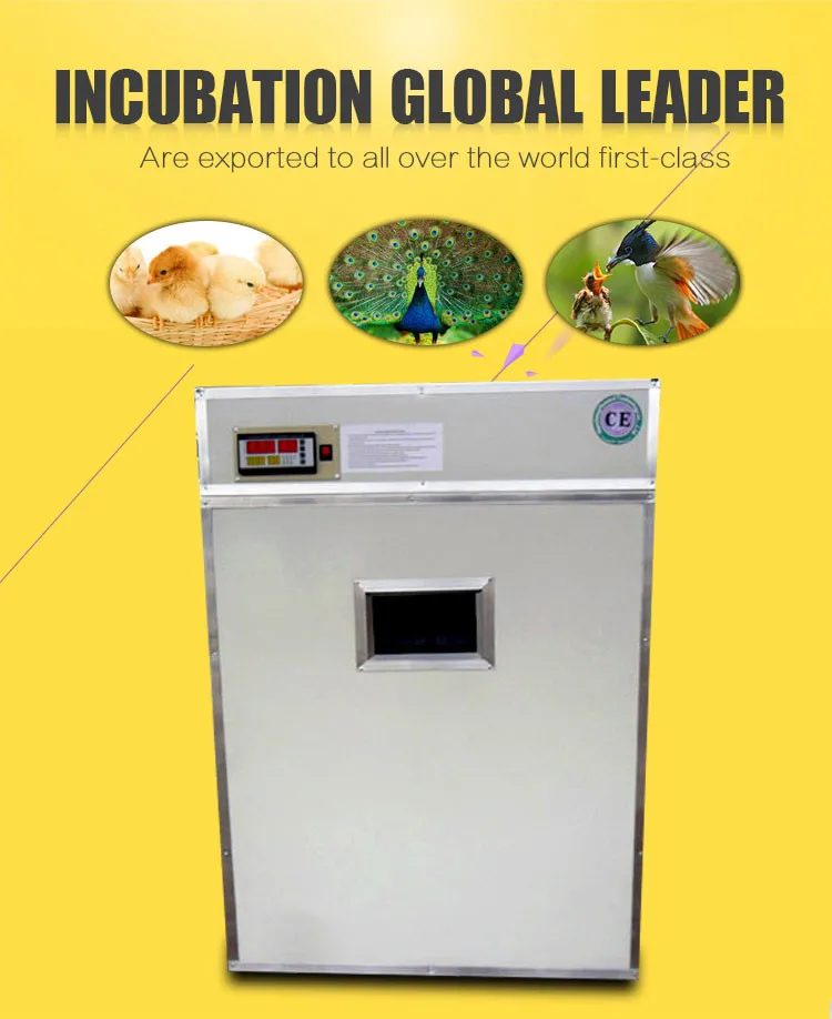 automatic chicken egg breeding incubator machine YZITE-13