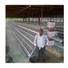 Poultry Farming Equipment a type layer chicken cage with automatic system for sale