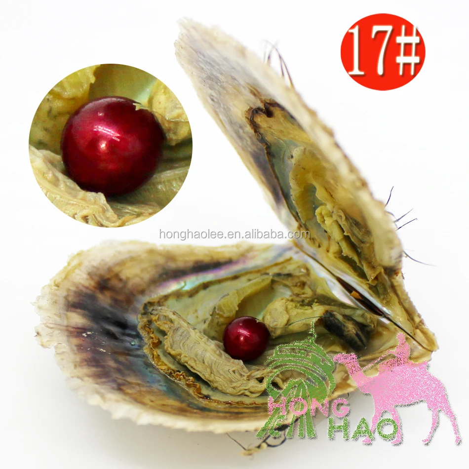 

AAAA grade 7-8mm color #17 vacuum packed oysters akoya pearl oyster saltwater pearl oyster many colours stock free shipping, N/a