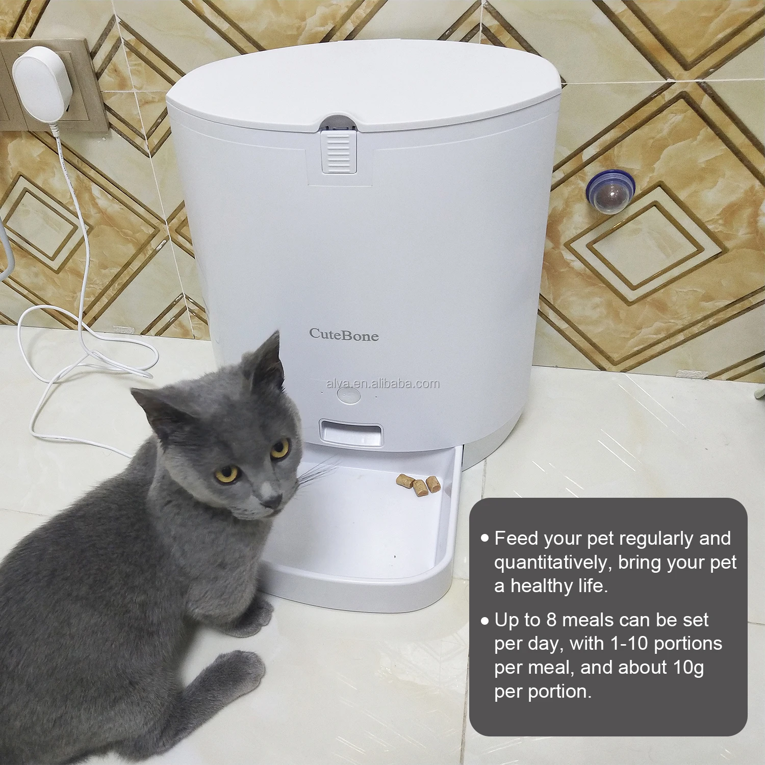 Cutebone Automatic Pet Feeder Wifi For Cats And Dogs View
