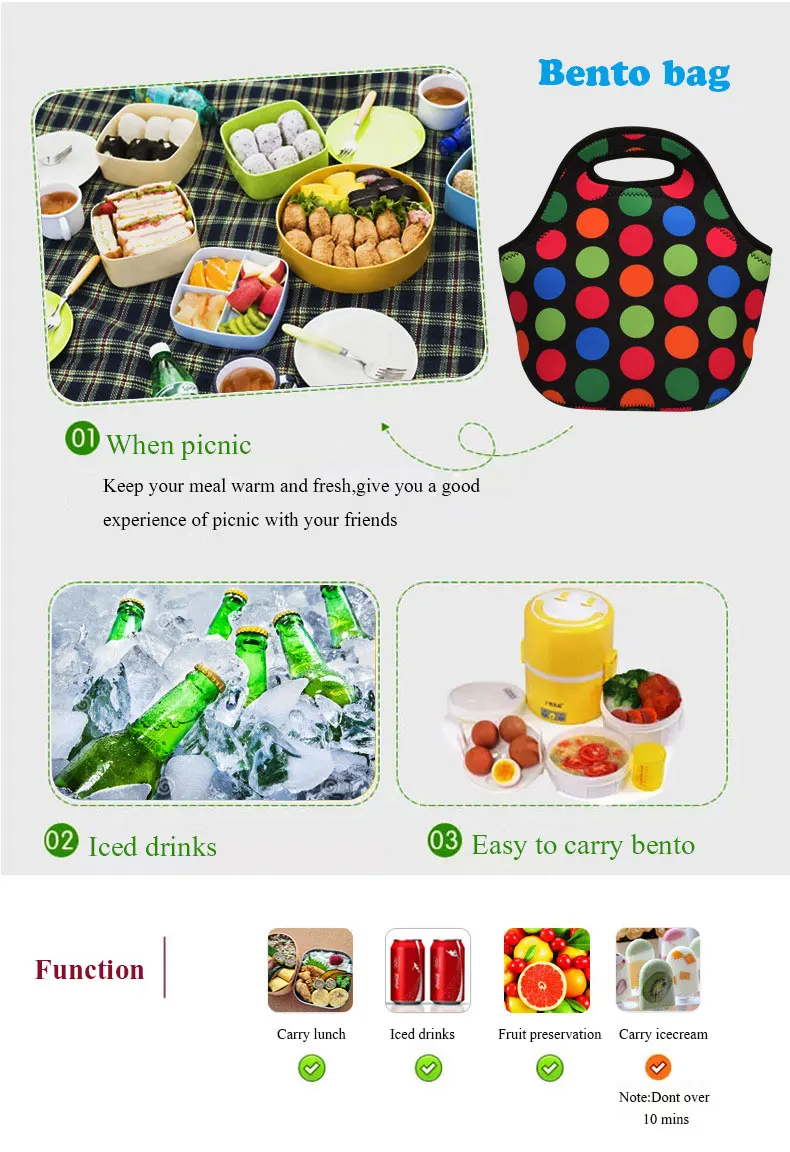 lunch bag (2)