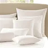 /product-detail/pp-cotton-cushion-inners-vacuum-package-wholesale-pillow-18x18-pillow-inserts-60794285199.html