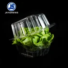 Plastic Blister Blister Clamshell Packaging Disposable PET Plastic Blister Crisp Lettuce Clamshell
