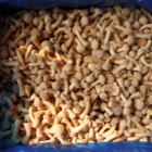 European Standard Frozen Nameko Mushroom