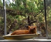 /product-detail/pet-hammock-window-perches-bed-sturdy-suction-cup-cat-bed-for-pet-cat-enjoy-warm-sun-and-great-view-60729512580.html