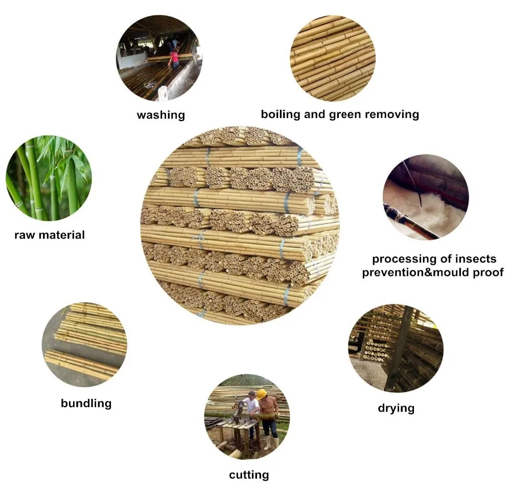 high quality bamboo poles natural