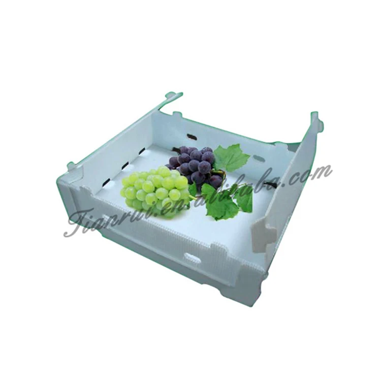 8 kg capacity white box for grapes / insulation sheet box