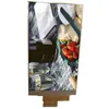 5 Inch 480(RGB) x854 TFT Backlight LCD Display IPS LCD Display Monitor 5 Inch TFT lcd monitor for promotion
