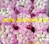 /product-detail/jin-xiang-chinese-normal-white-fresh-garlic-in-10kg-mesh-bag-packing-60558491706.html