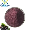 /product-detail/factory-supply-100-natural-acai-berry-powder-fruit-freeze-dried-powder-60644773068.html