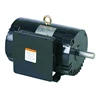 Premium Efficiency NEMA frame 56 145T electric low voltage water pump motor
