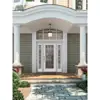 China Golden Supplier Wholesale Steel Prehung Front Door with Sidelites iron decorative glass for low price