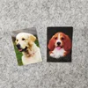 /product-detail/3d-lenticular-pet-art-photo-3d-picture-halloween-terrible-changing-picture-275625104.html