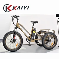 Cargo 3 wheel electric bicycle 
Cargo 3 wheel electric bicycle