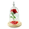 Factory Beauty and the Beast Glass Dome Silk Rose Flower with Led Lights In Glass Dome