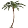 /product-detail/wholesale-large-outdoor-indoor-artificial-sago-kentia-palm-tree-decorative-artificial-coconut-palm-trees-plant-60679268441.html