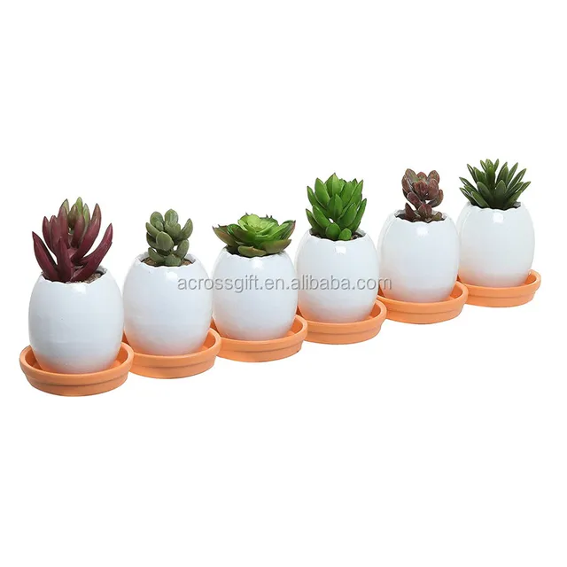 mini white egg shell shaped decorative ceramic succulent plant