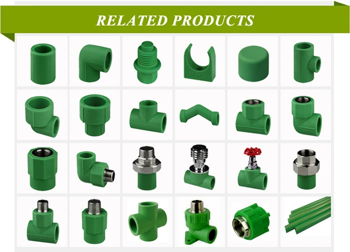 RELATED PRODUCTS.jpg