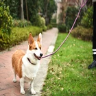2019 China factory new design premium pet dog sport supplies leashes