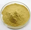Nutritional Yeast Powder Extract Bulk for Food Ingredient Natural Nucleotide acid, MSG Replacer