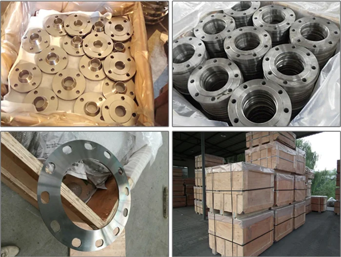 Plate Type Flange