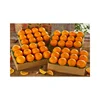 Egypt Export Natrual Dry / Fresh Fruits Oranges