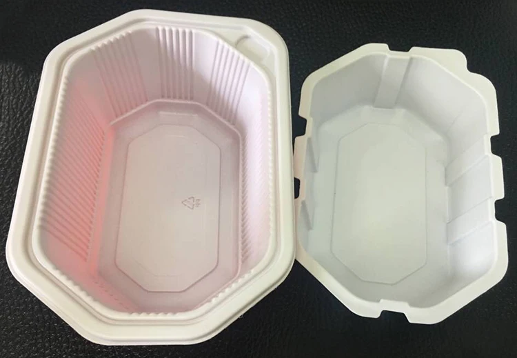 OEM rectangular disposable plastic defrosting meat tray food containers box