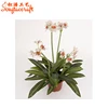 Bulk high simulation white artificial silk orchids flower with freidly PE green Leaves