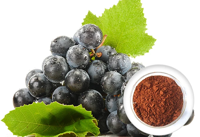 extract grape seed