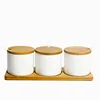 Wooden tray lid japan style cheap 3 set sugar pot salt spice ceramic canister with spoon