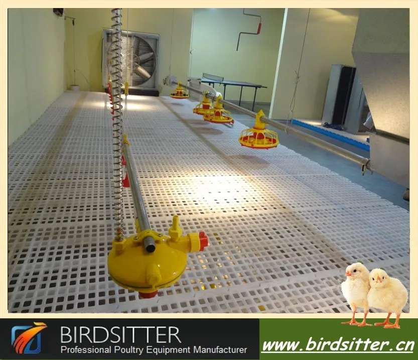 Birdsitterチキン家自動フィーダと給水器用鶏仕入れ・メーカー・工場