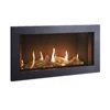 /product-detail/gas-fireplace-indoor-gas-glass-fireplace-luxury-modern-gas-fireplace-60250581150.html