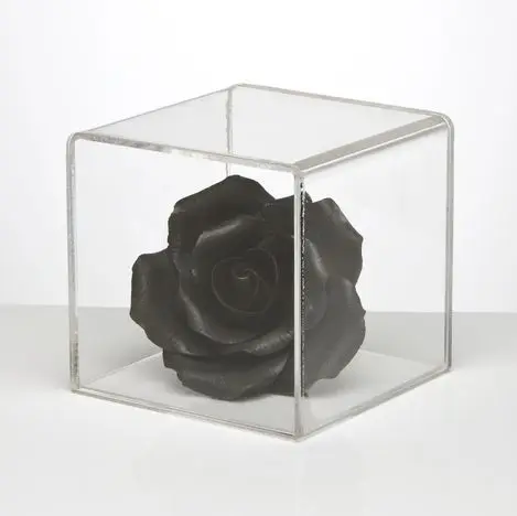 Acrylic Display Case Wall Mount Tabletop Crafts Stand Box Acrylic Display Case Wall Mount Tabletop Crafts Stand Box