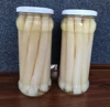 /product-detail/canned-asparagus-spear-canned-fresh-asparagus-62163422847.html