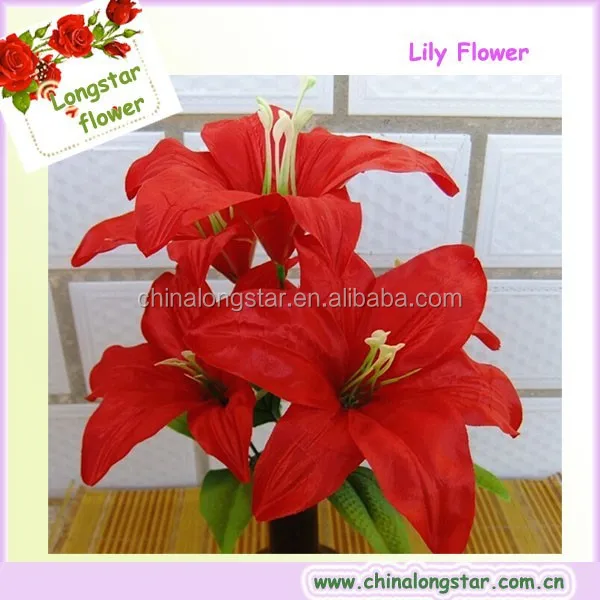 red lily flower