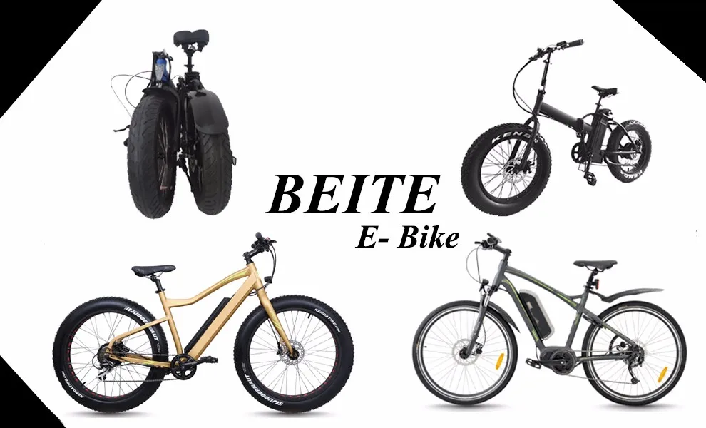 250W electric bicycle