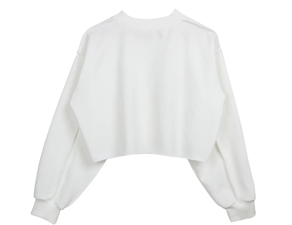 wholesale 100% cotton long sleeve private label custom logo white crop tops xxxxl womens hoodies
wholesale 100% cotton long sleeve private label custom logo white crop tops xxxxl womens hoodies