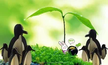 Promoción De Madera De Pingüino, Compras online de De Madera De