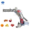 /product-detail/small-orange-fruit-sorting-machine-fruit-grader-in-shandong-60099702146.html