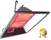 Newly safe poultry farm infrared gas chicken brooder